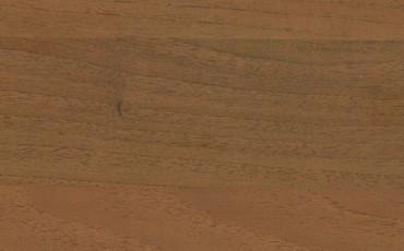 Орех гварнери, LM 0616