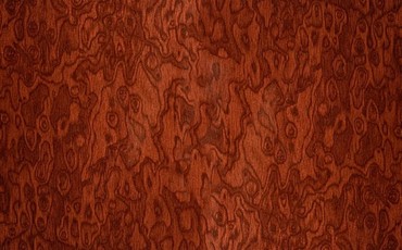 Корень вяза коричневый, LM 3433