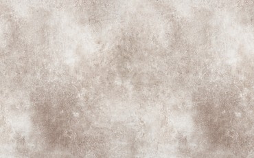 Белый шунгит, LM 0418